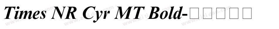 Times NR Cyr MT Bold字体转换